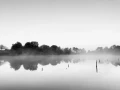 Paysage de la Haute-Saintonge en Charente-Maritime en France en noir et blanc