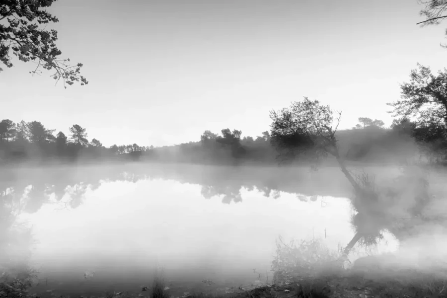 Paysage de la Haute-Saintonge en Charente-Maritime en France en noir et blanc