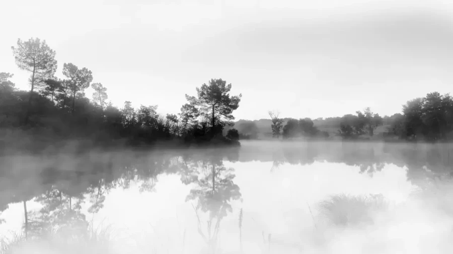 Paysage de la Haute-Saintonge en Charente-Maritime en France en noir et blanc