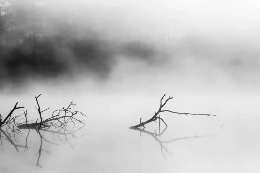 Paysage de la Haute-Saintonge en Charente-Maritime en France en noir et blanc
