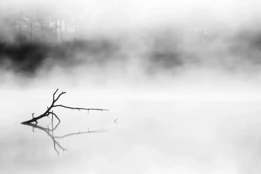 Paysage de la Haute-Saintonge en Charente-Maritime en France en noir et blanc