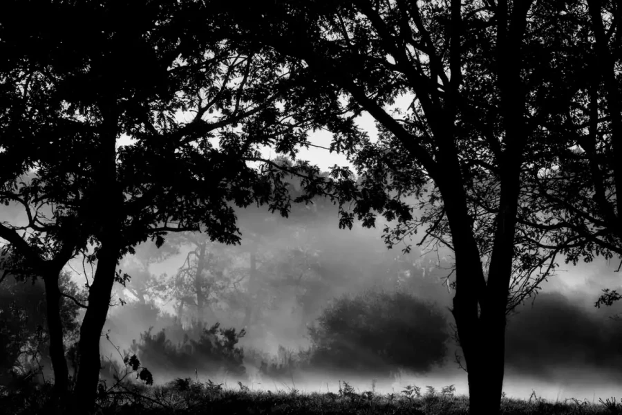 Paysage de la Haute-Saintonge en Charente-Maritime en France en noir et blanc