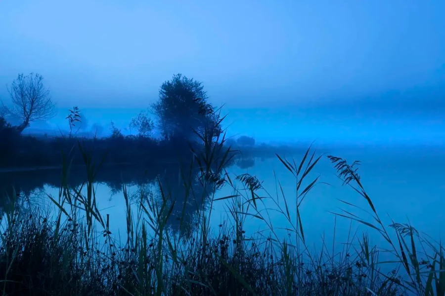 Paysage de la Haute-Saintonge en Charente-Maritime, France en couleur