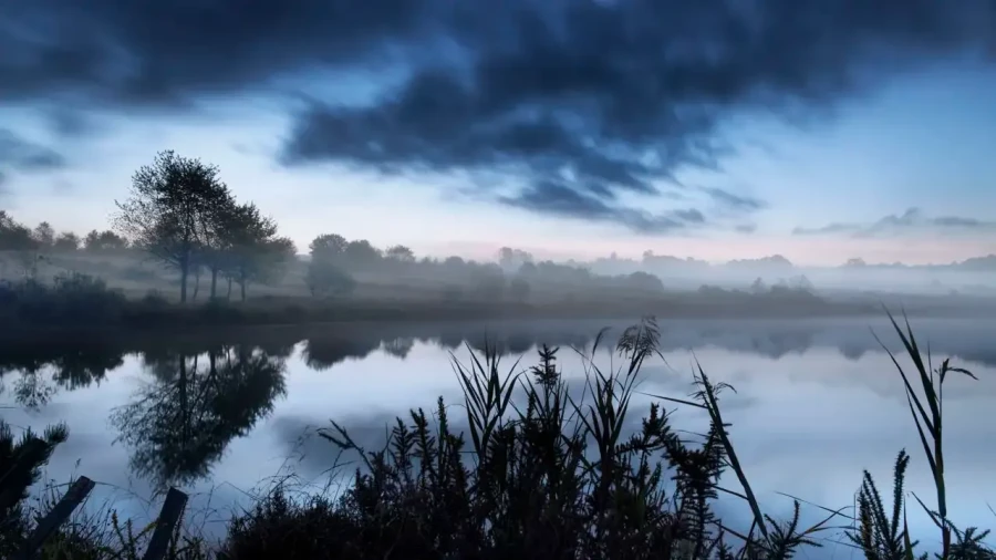 Paysage de la Haute-Saintonge en Charente-Maritime, France en couleur