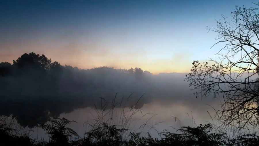 Paysage de la Haute-Saintonge en Charente-Maritime, France en couleur
