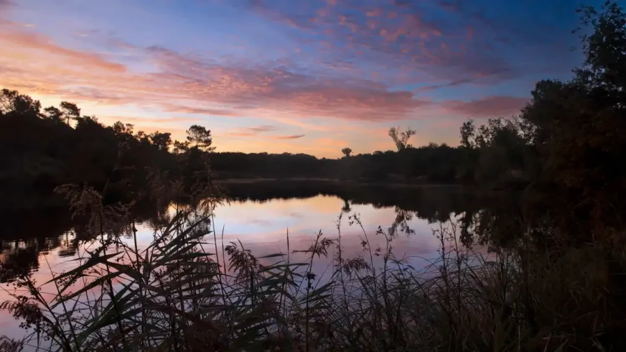 Paysage de la Haute-Saintonge en Charente-Maritime, France en couleur