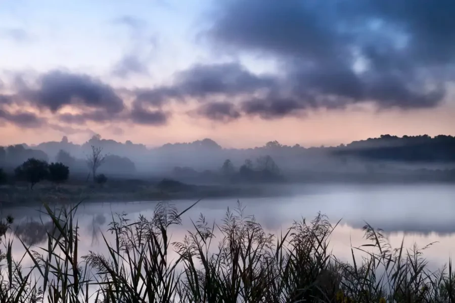 Paysage de la Haute-Saintonge en Charente-Maritime, France en couleur