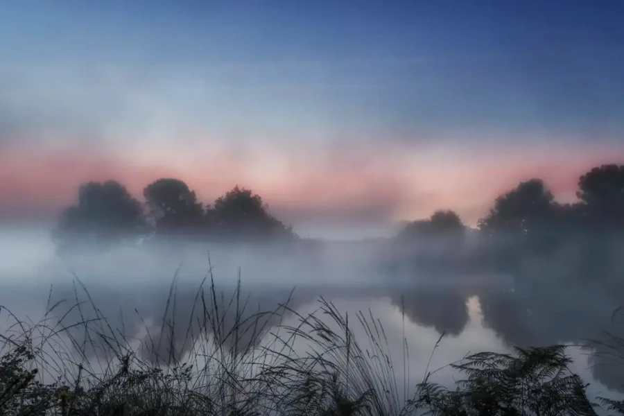 Paysage de la Haute-Saintonge en Charente-Maritime, France en couleur