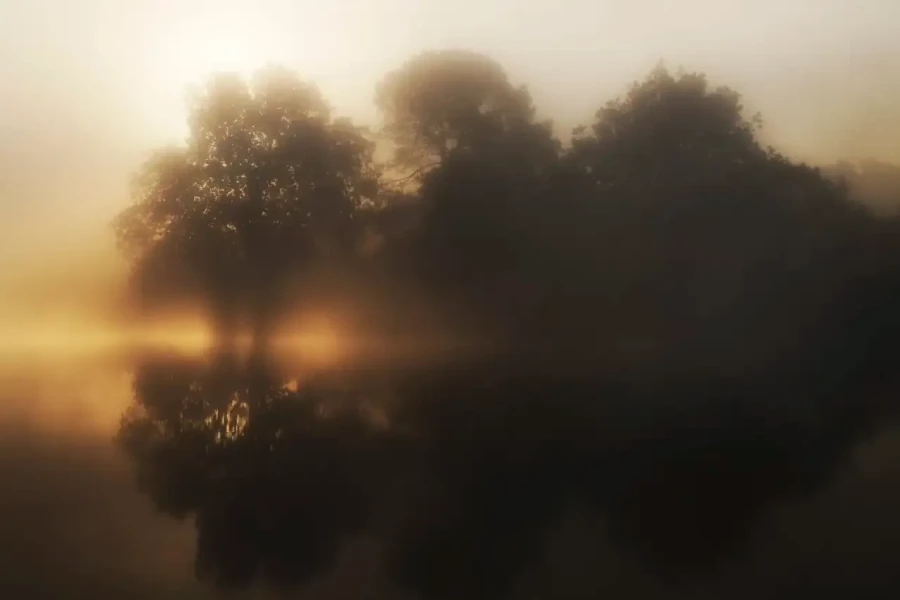 Paysage de la Haute-Saintonge en Charente-Maritime, France en couleur