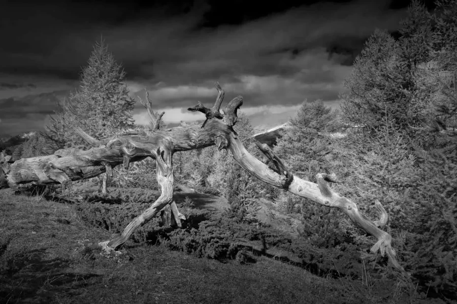 Paysage du Queyras dans les Hautes-Alpes en France en noir et blanc.