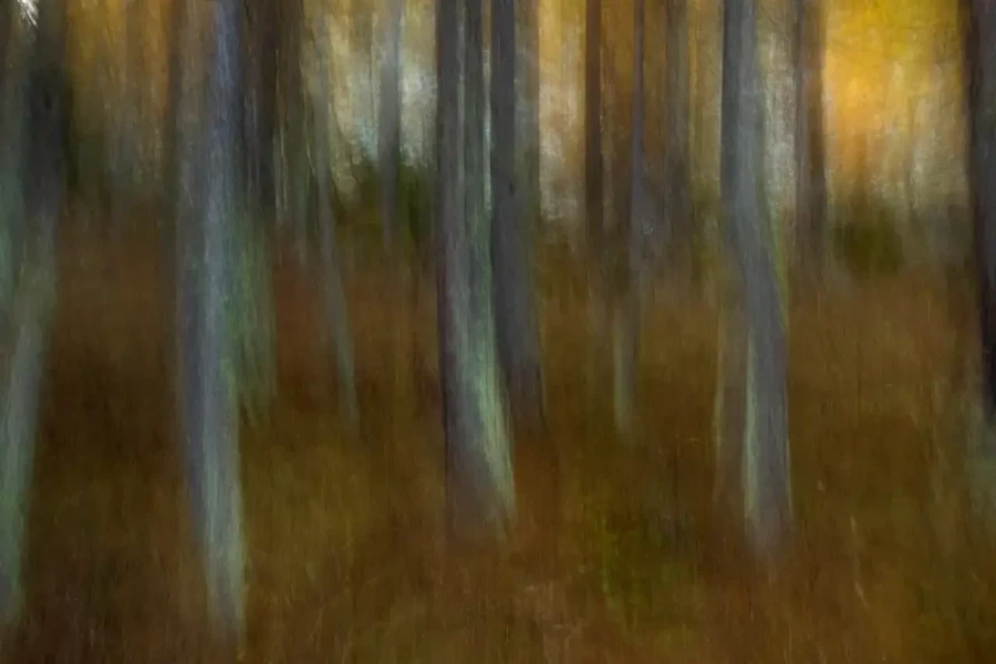 31 photo nature couleur abstraite