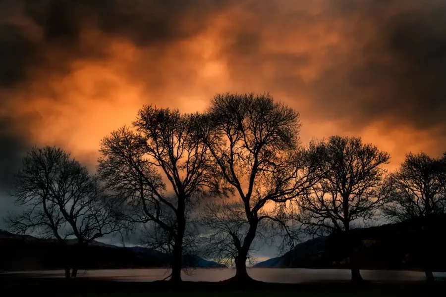 18 paysage nature en couleur