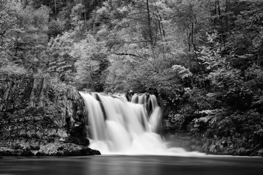 21 photo de paysage en noir et blanc