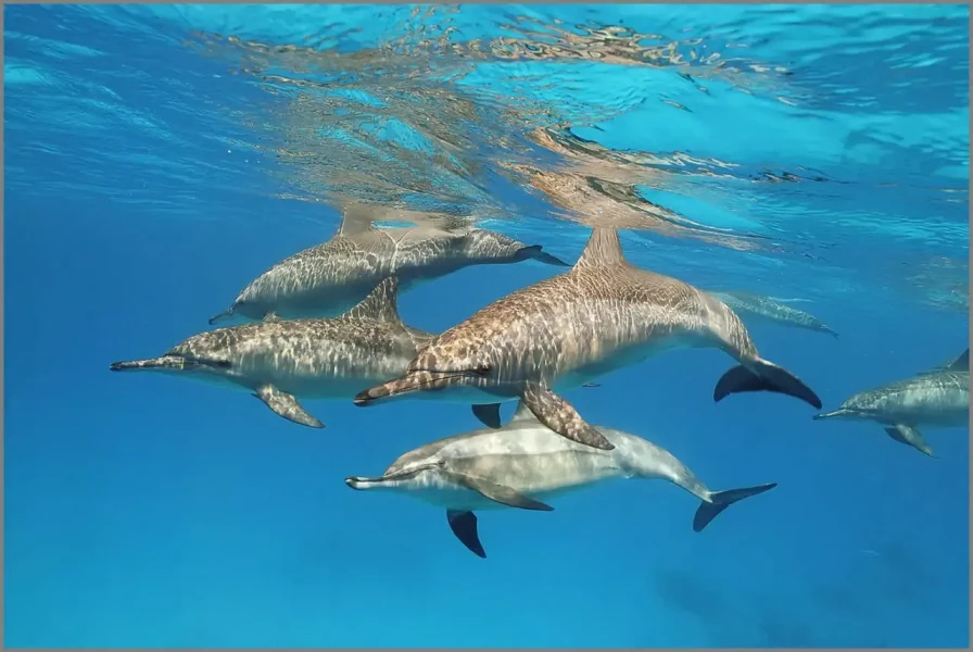 07 photo sous marine