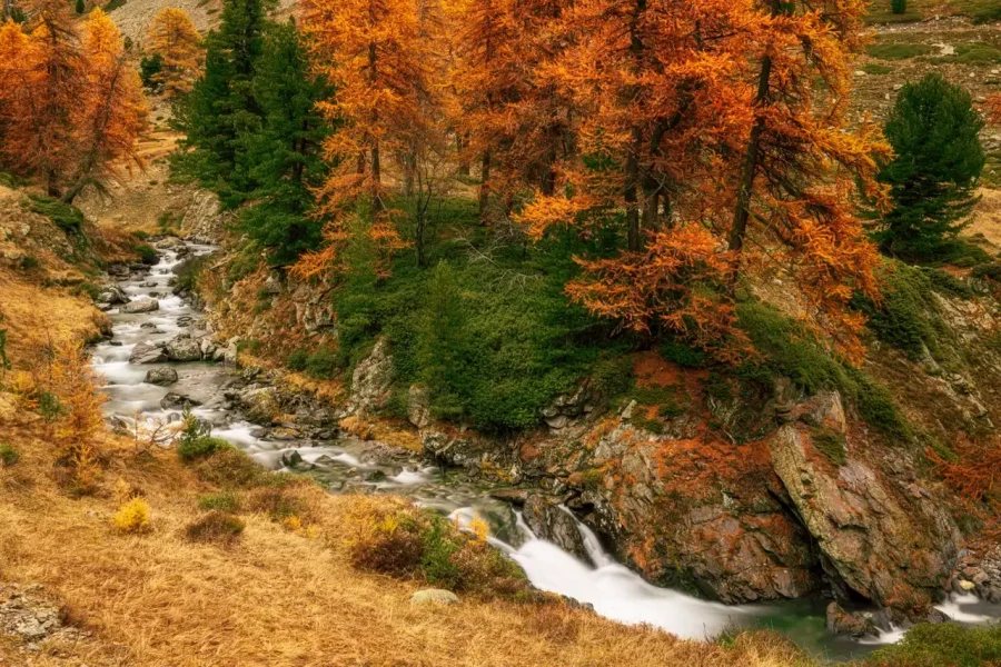 04 paysage vallee de la claree hautes alpes