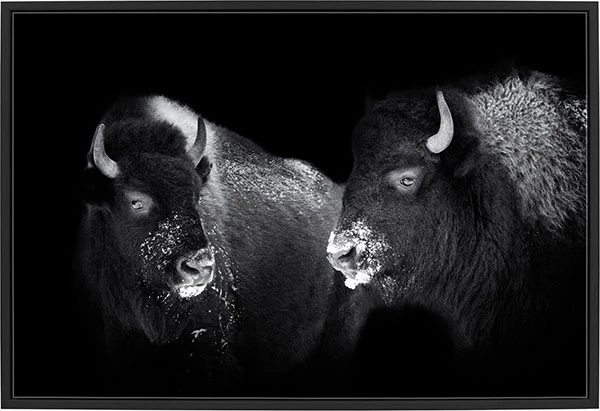 02 style back to black finition contemporaine