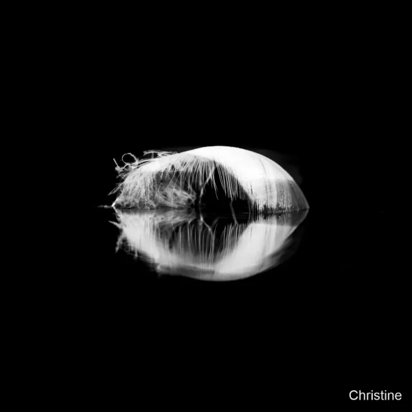 02 christine 02 christine