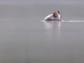 01 thierry
