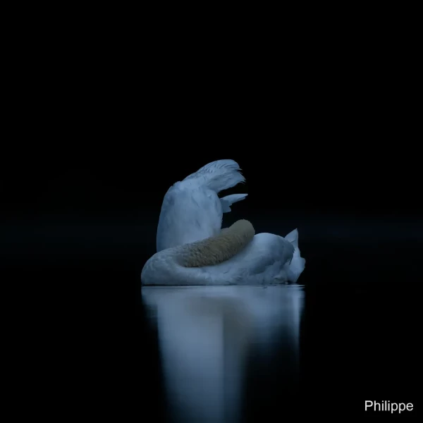 07 philippe