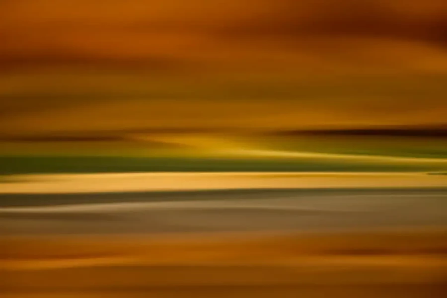 001 dance of the forgotten lights