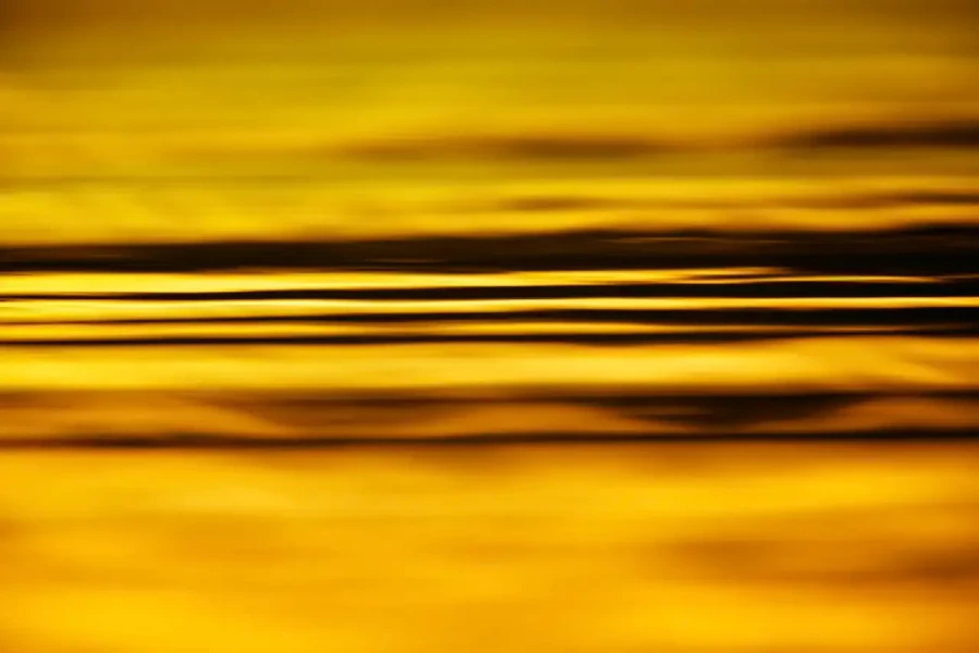 003 dance of the forgotten lights