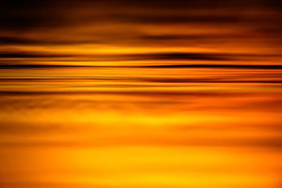 006 dance of the forgotten lights