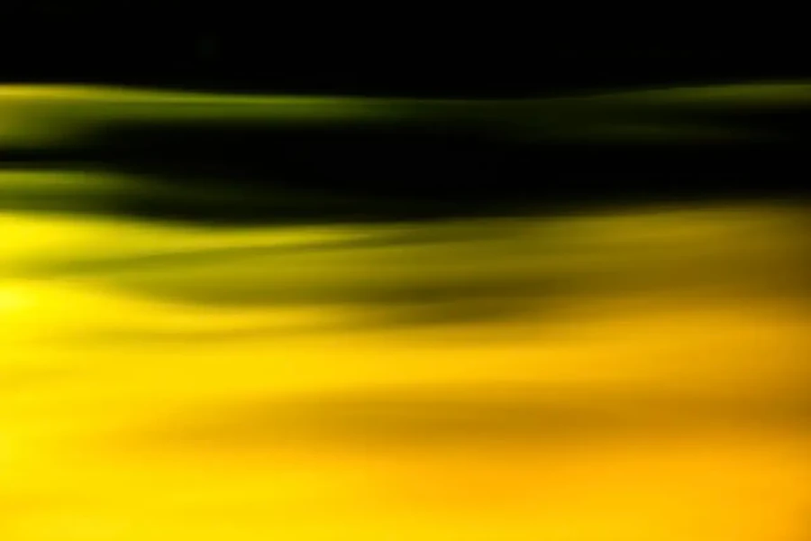 010 dance of the forgotten lights