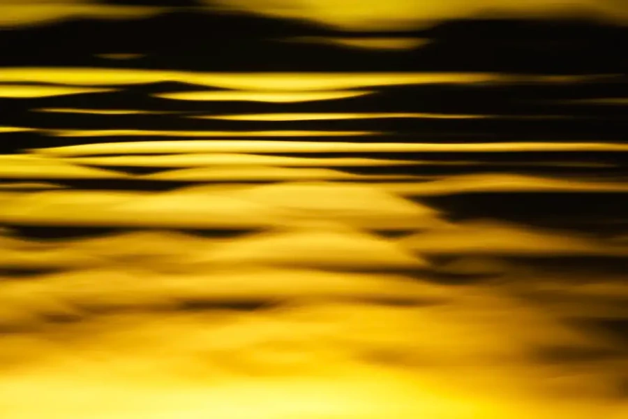 011 dance of the forgotten lights