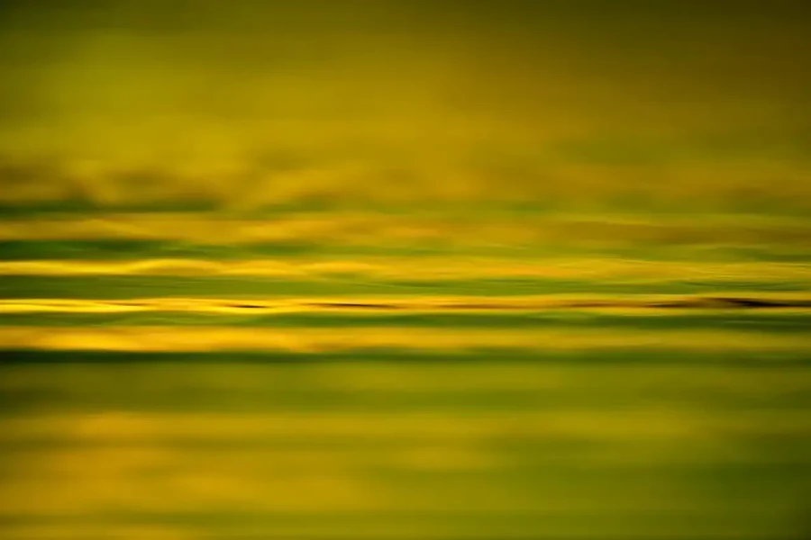 012 dance of the forgotten lights
