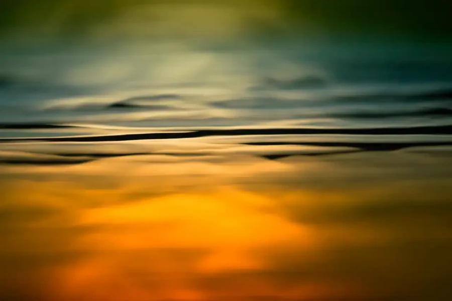 016 dance of the forgotten lights
