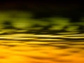 017 dance of the forgotten lights