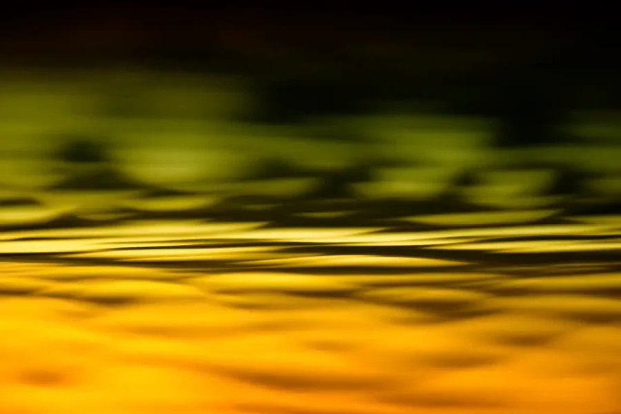 017 dance of the forgotten lights
