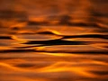 019 dance of the forgotten lights