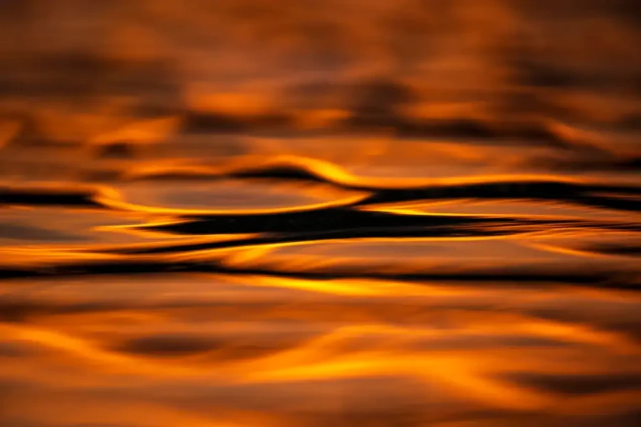 019 dance of the forgotten lights