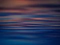 025 dance of the forgotten lights