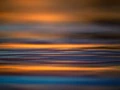 026 dance of the forgotten lights