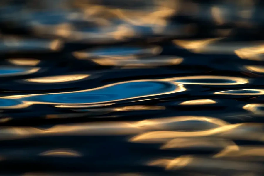 028 dance of the forgotten lights