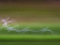 002 dream in motion