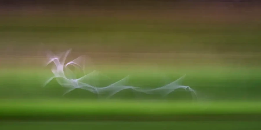 002 dream in motion