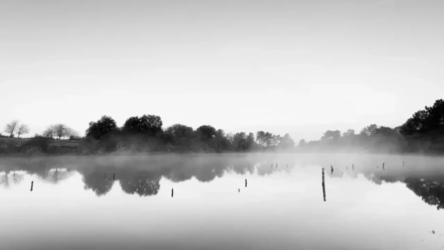 Landscape of Haute-Saintonge in Charente-Maritime in France in black and white