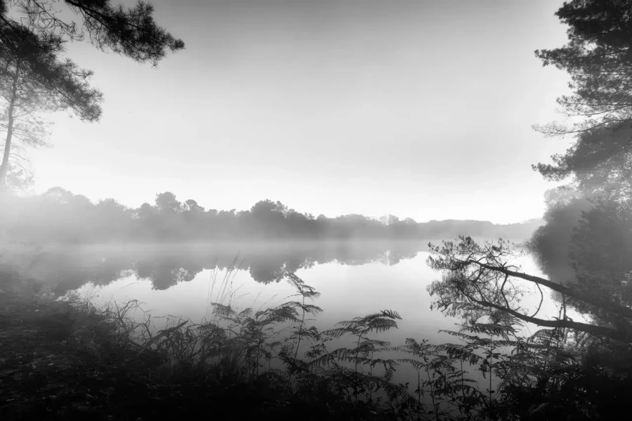 Landscape of Haute-Saintonge in Charente-Maritime in France in black and white