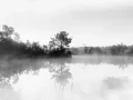 Landscape of Haute-Saintonge in Charente-Maritime in France in black and white