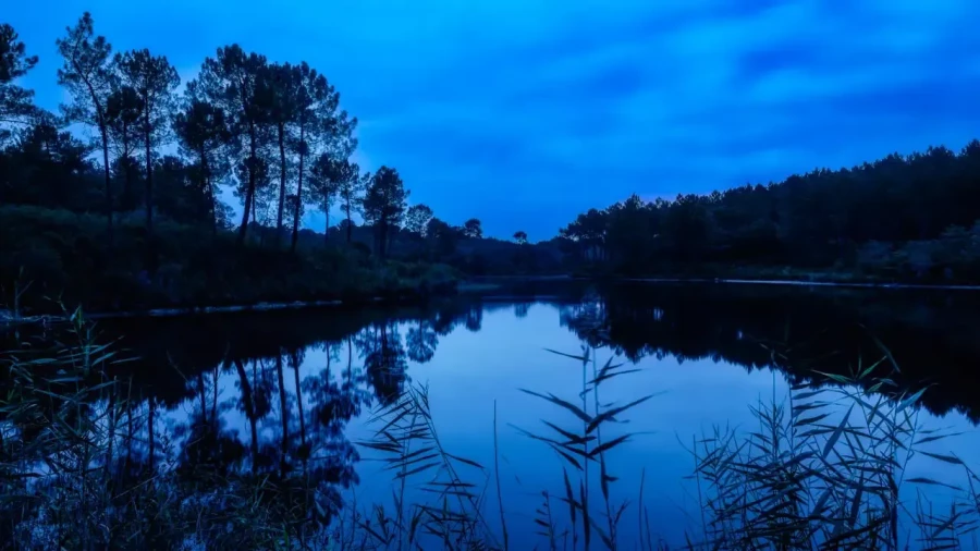 Landscape of Haute-Saintonge in Charente-Maritime, France, in color.