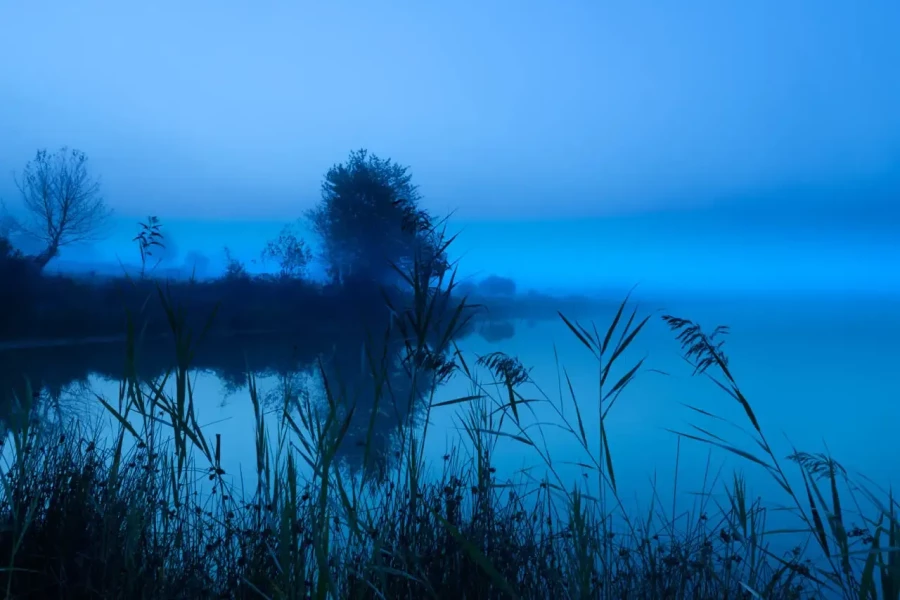 Landscape of Haute-Saintonge in Charente-Maritime, France, in color.