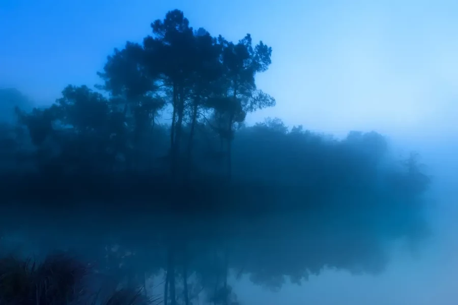 Landscape of Haute-Saintonge in Charente-Maritime, France, in color.