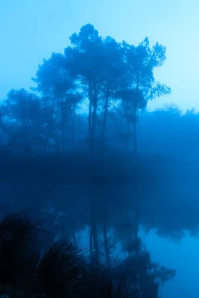 Landscape of Haute-Saintonge in Charente-Maritime, France, in color.