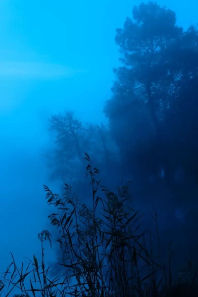 Landscape of Haute-Saintonge in Charente-Maritime, France, in color.