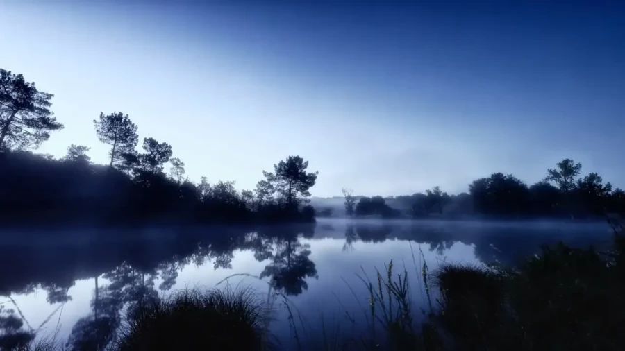 Landscape of Haute-Saintonge in Charente-Maritime, France, in color.