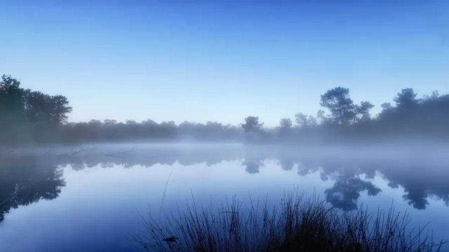 Landscape of Haute-Saintonge in Charente-Maritime, France, in color.