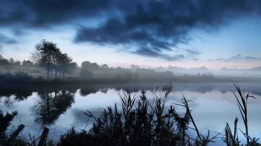 Landscape of Haute-Saintonge in Charente-Maritime, France, in color.